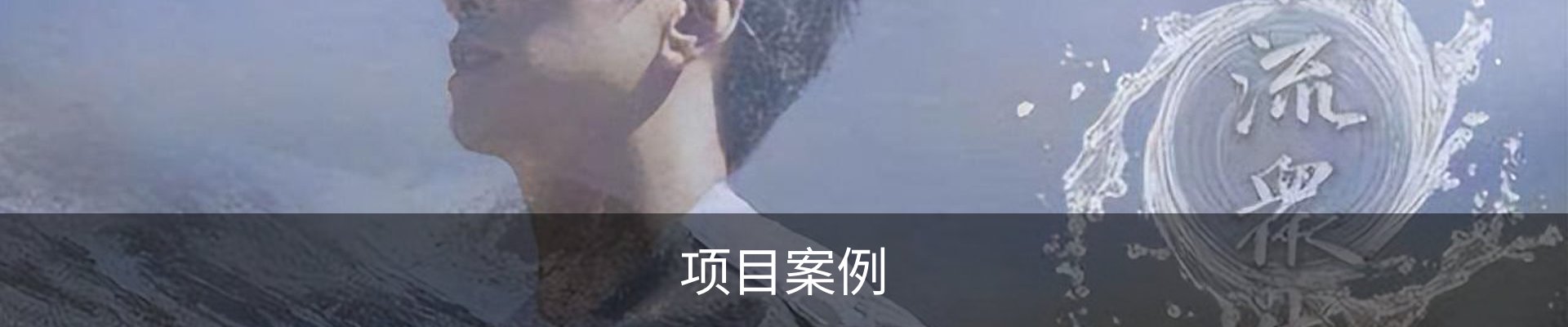 项目案例