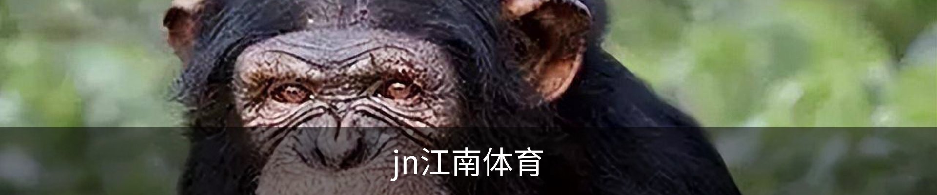 JN· 江南体育官网首页 - 官方入口